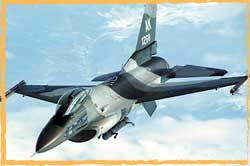 USAF 18th Aggessor Sqn F-16C Ex Red Flag Alaska 08