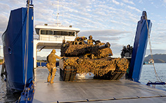 Littoral Warfare transition Australian Army
