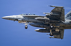 RAAF, F/A-18F, Exercise Grey Flag 2026, Naval Air Station Point Mugu, Naval Base Ventura County, Joint Advanced Tactical Missile